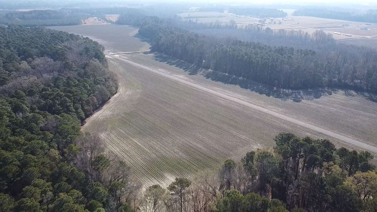 333 Acres of Land for Auction in Red Springs, North Carolina