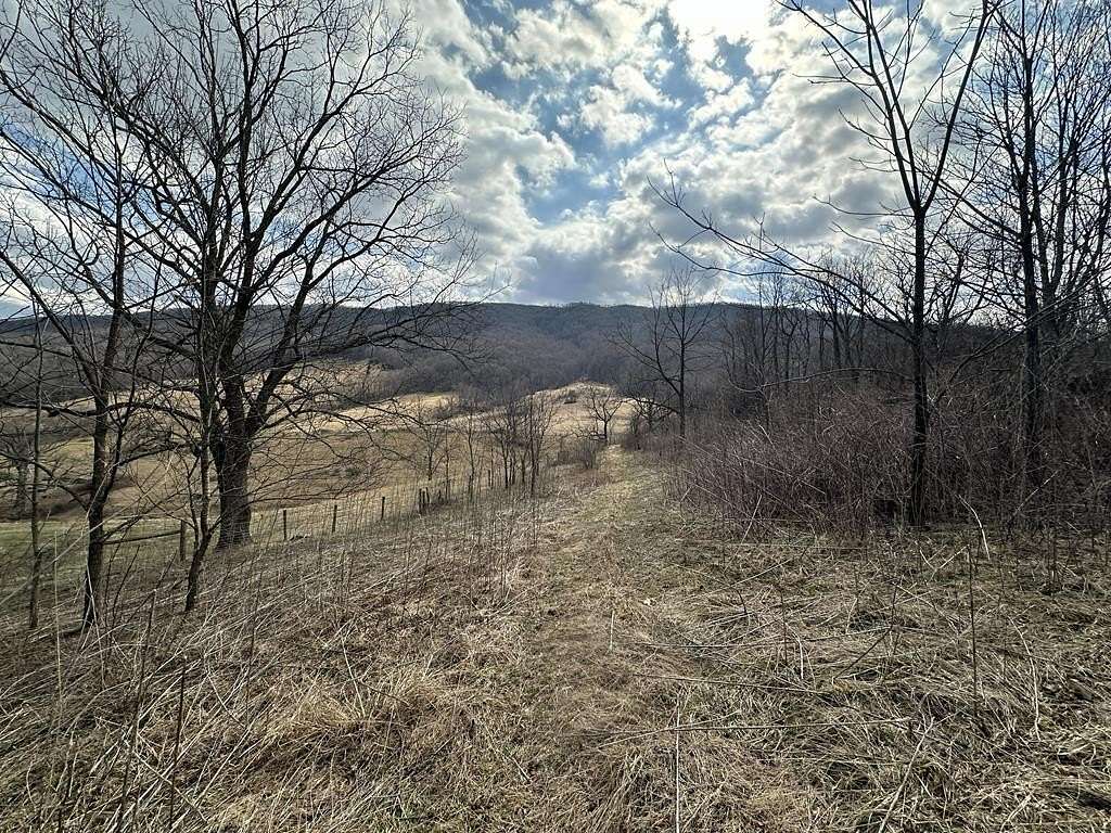 12 Acres of Recreational & Residential Land for Sale in Bastian, Virginia