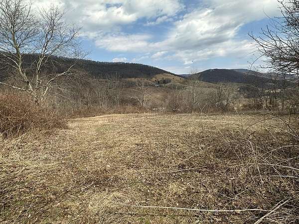 12 Acres of Recreational & Residential Land for Sale in Bastian, Virginia