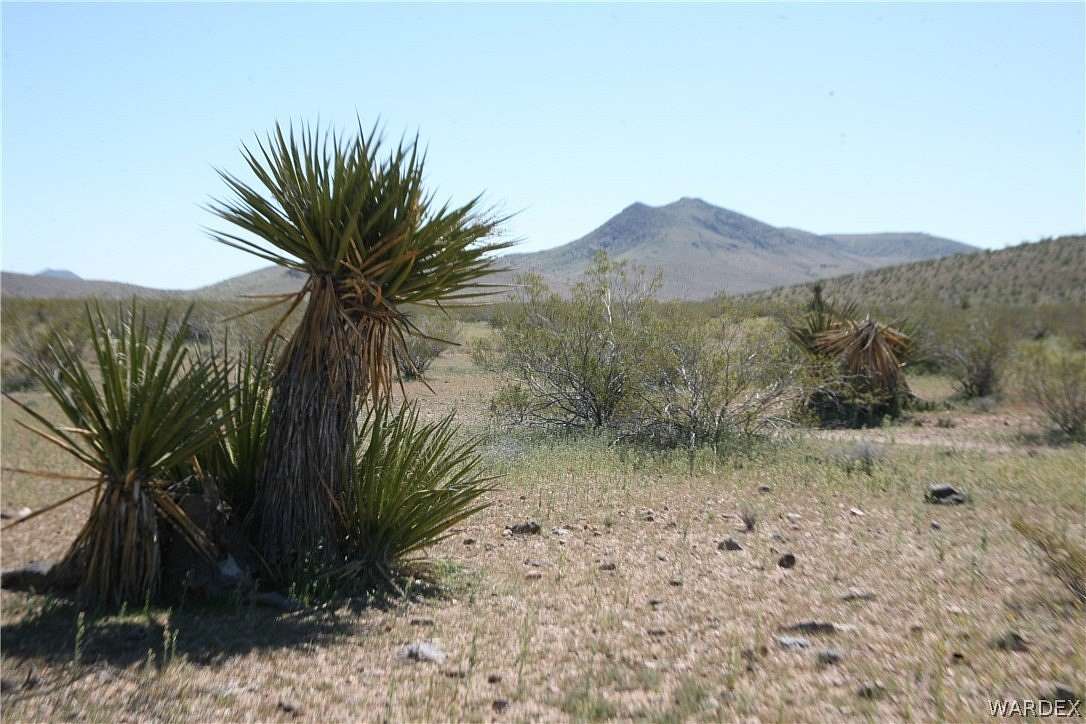 5 Acres of Residential Land for Sale in Dolan Springs, Arizona