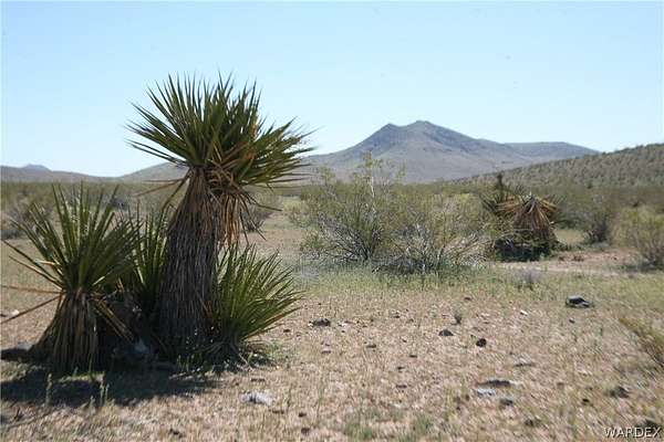 5 Acres of Residential Land for Sale in Dolan Springs, Arizona