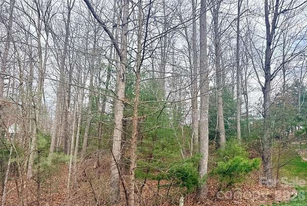 0.57 Acres of Residential Land for Sale in Hendersonville, North Carolina