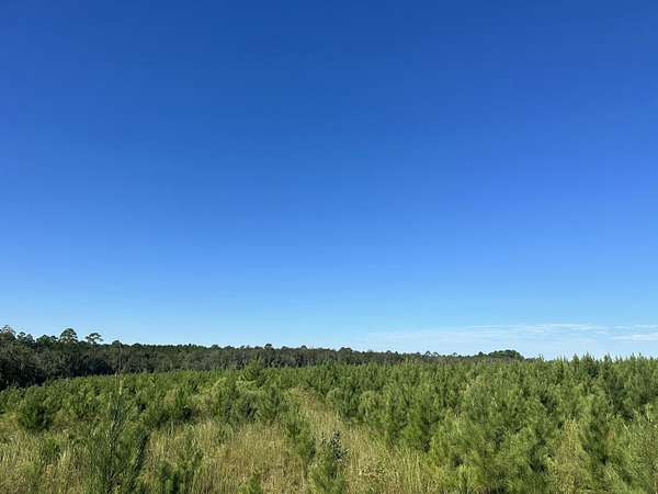 10 Acres of Land for Sale in Laurel Hill, Florida