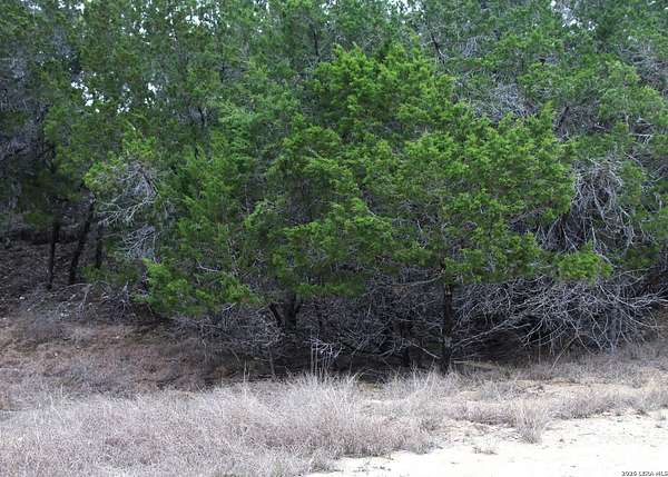 0.12 Acres of Residential Land for Sale in Pipe Creek, Texas