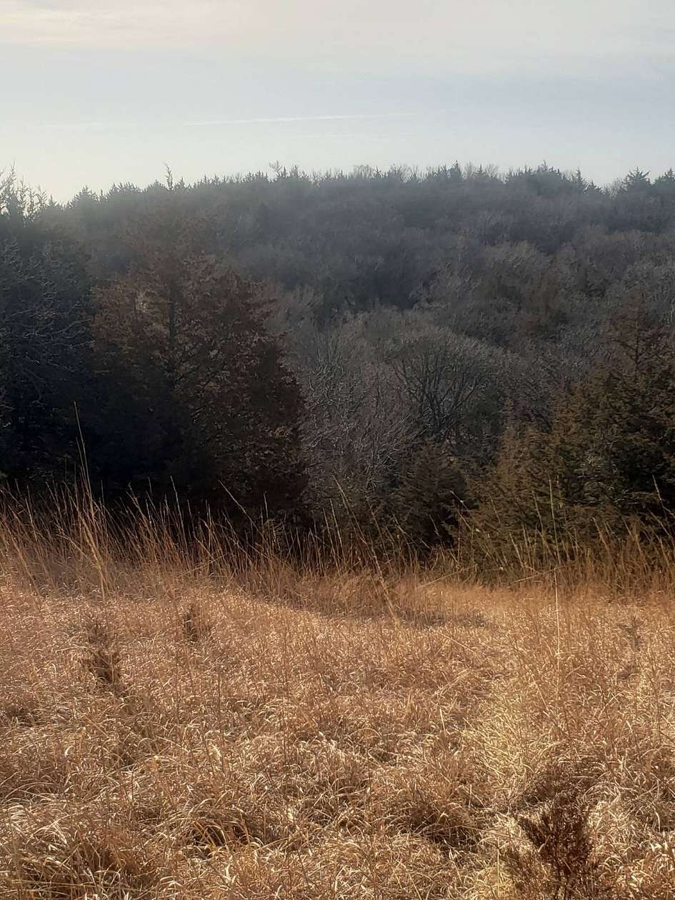 Land for Sale in Crofton, Nebraska