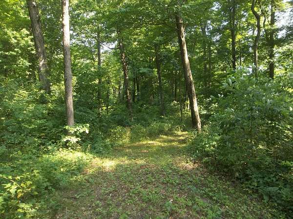 16 Acres of Land for Sale in White Pigeon, Michigan