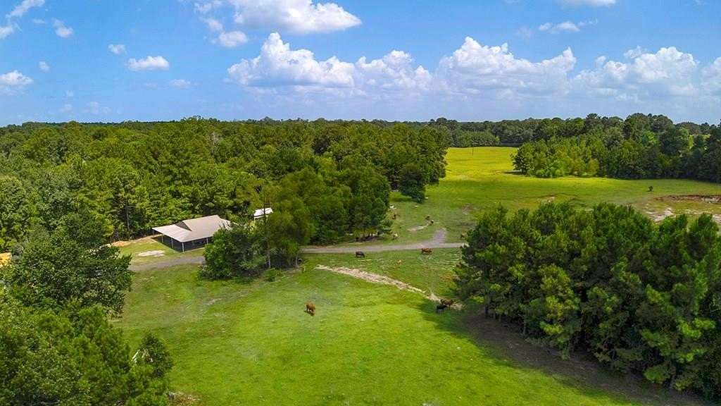 42.2 Acres of Land with Home for Sale in Pineland, Texas