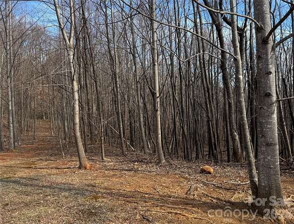 1.83 Acres of Residential Land for Sale in Mill Spring, North Carolina