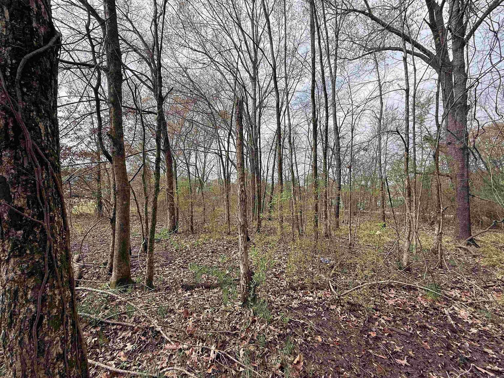 0.52 Acres of Residential Land for Sale in Prescott, Arkansas