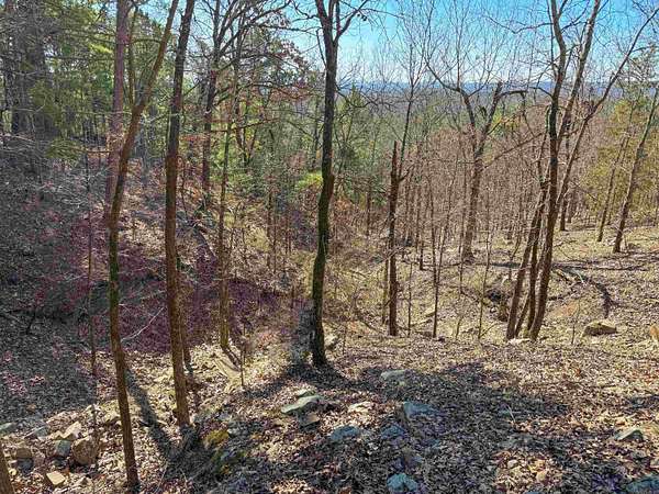 4.14 Acres of Residential Land for Sale in Mayflower, Arkansas