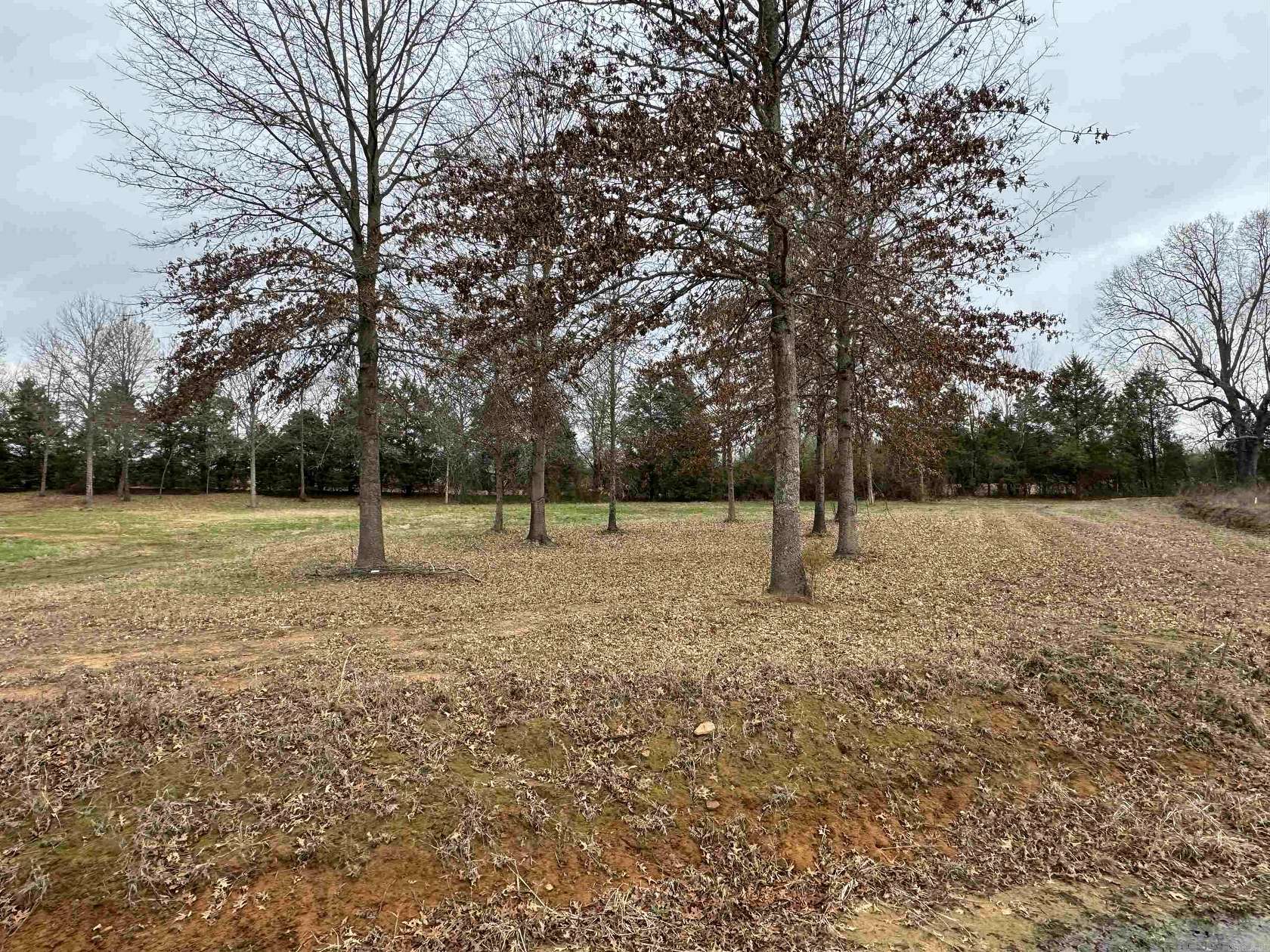 1.16 Acres of Residential Land for Sale in Guy, Arkansas