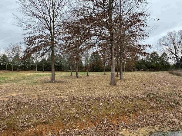 1.16 Acres of Residential Land for Sale in Guy, Arkansas