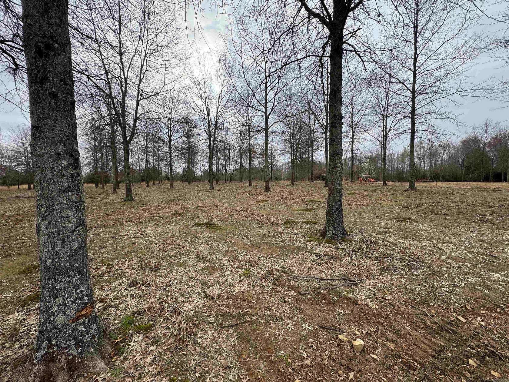 1.17 Acres of Residential Land for Sale in Guy, Arkansas