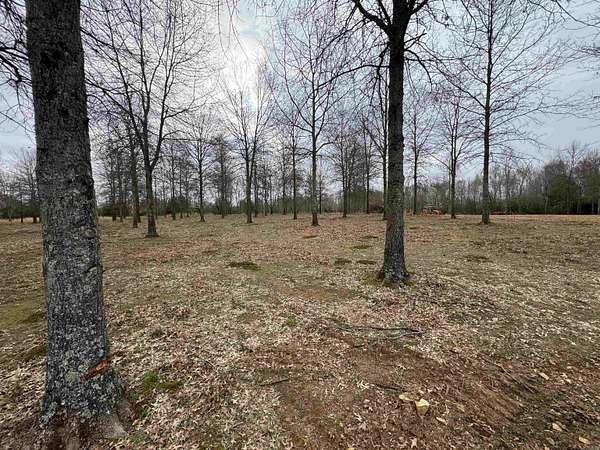 1.17 Acres of Residential Land for Sale in Guy, Arkansas