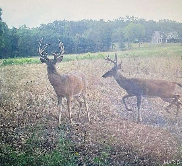 18 Acres of Land for Sale in Bland, Missouri