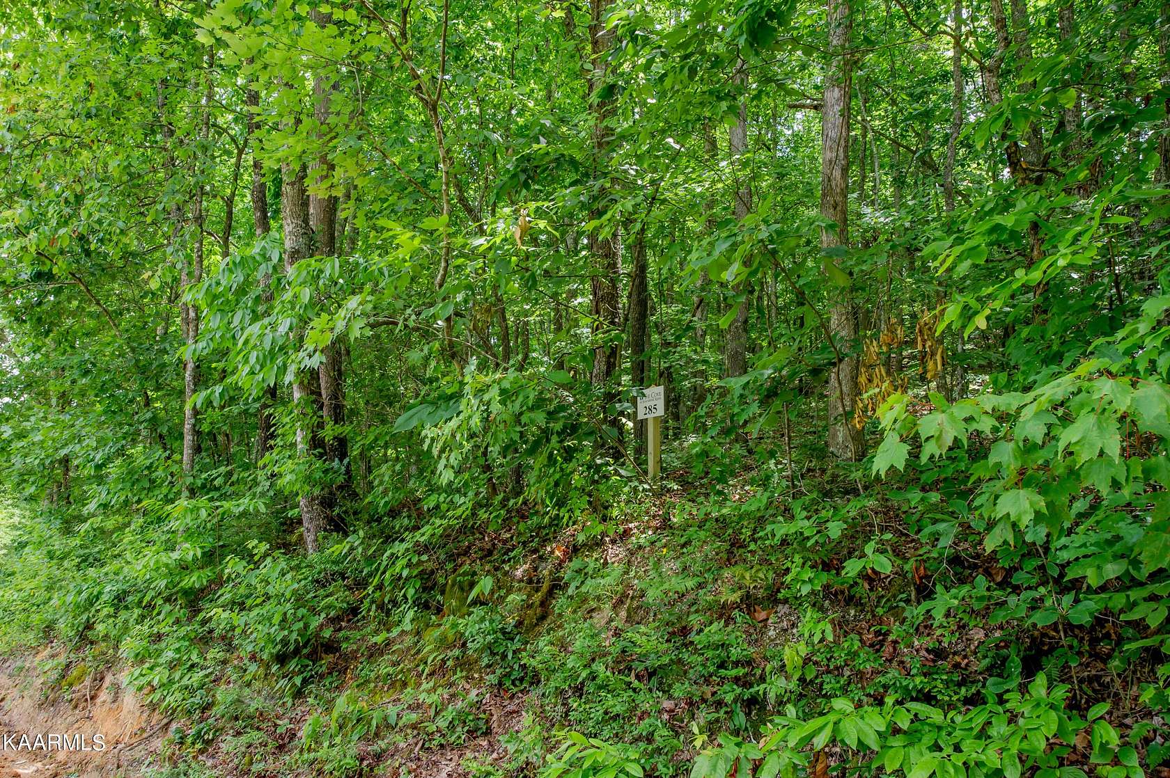 5 Acres of Residential Land for Sale in Loudon, Tennessee