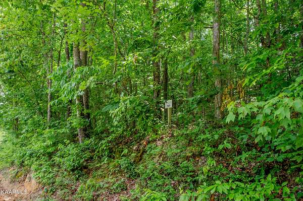 5 Acres of Residential Land for Sale in Loudon, Tennessee