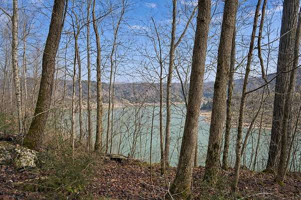 50 Acres of Recreational Land for Sale in Monticello, Kentucky