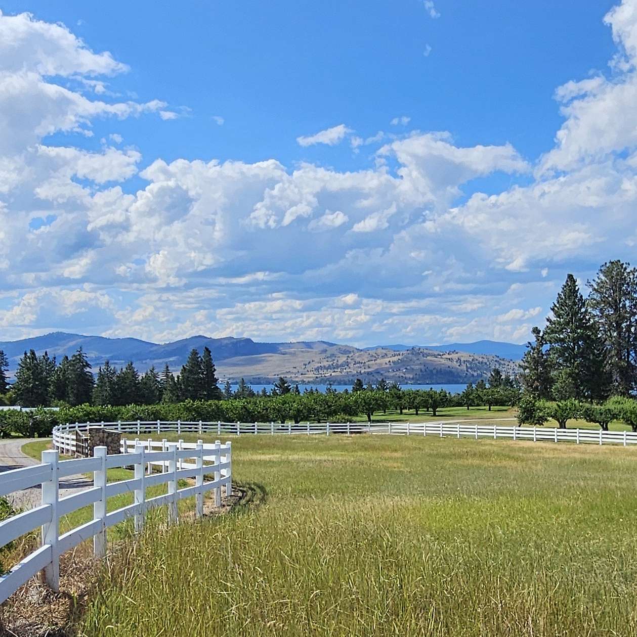 52.1 Acres of Land for Sale in Polson, Montana