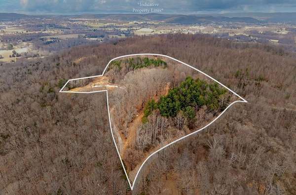 13 Acres of Land for Auction in Sparta, Tennessee