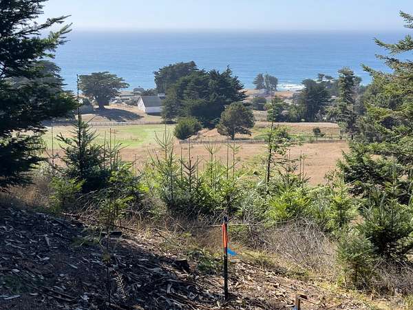 0.94 Acres of Residential Land for Sale in Sea Ranch, California
