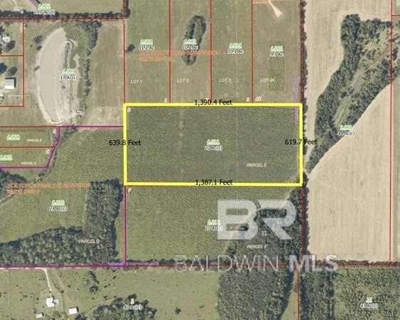 20 Acres of Land for Sale in Bay Minette, Alabama