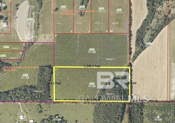 20 Acres of Land for Sale in Bay Minette, Alabama