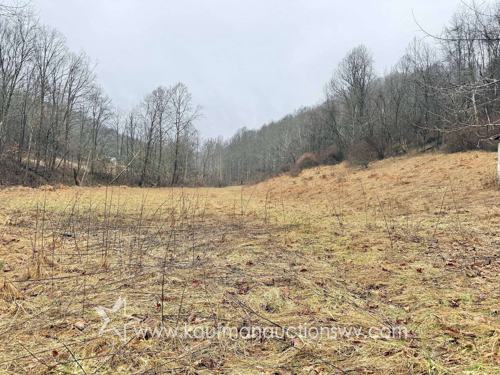 51.7 Acres of Recreational & Residential Land for Auction in West Union, West Virginia