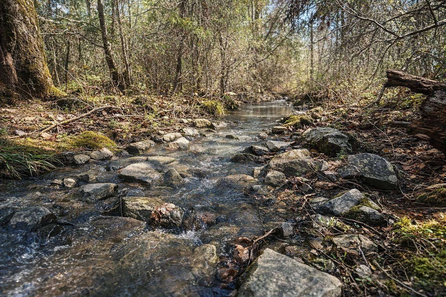 45.5 Acres of Recreational & Residential Land for Sale in Albion, Oklahoma