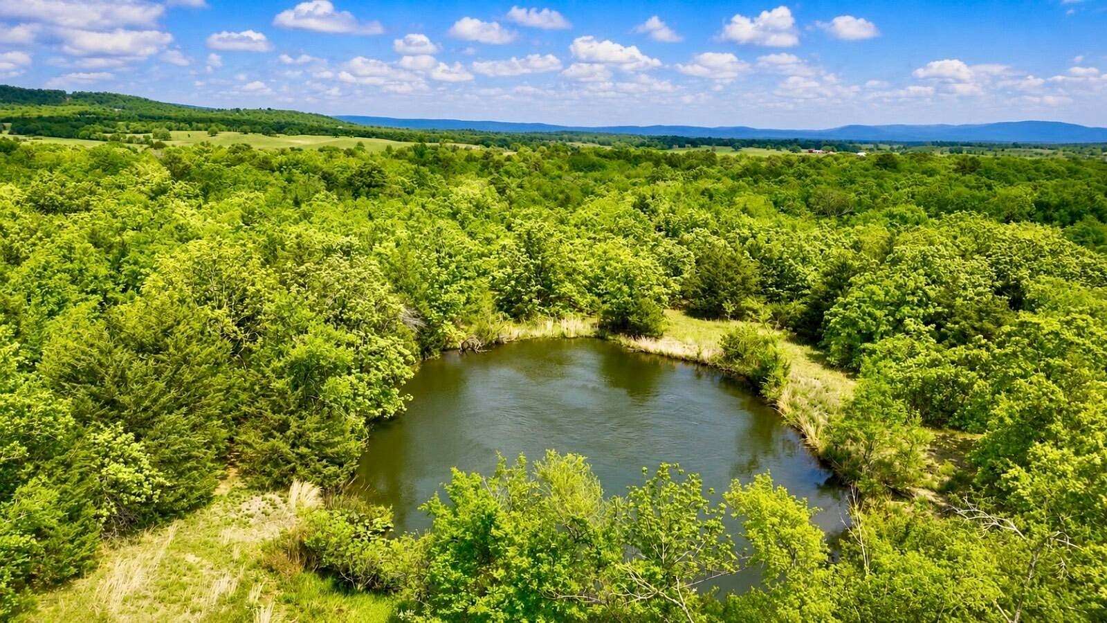 45.5 Acres of Land for Sale in Albion, Oklahoma
