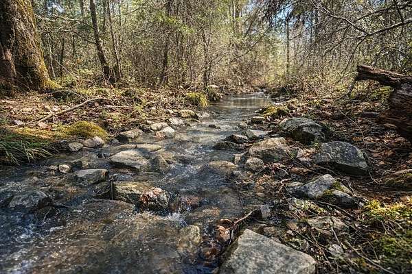 45.5 Acres of Recreational & Residential Land for Sale in Albion, Oklahoma