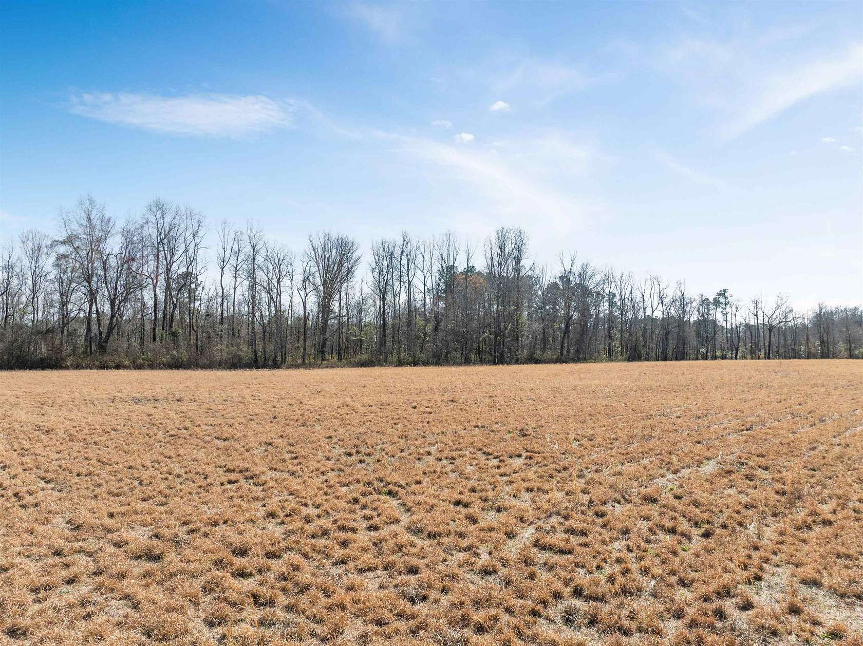 7.1 Acres of Land for Sale in Johnsonville, South Carolina