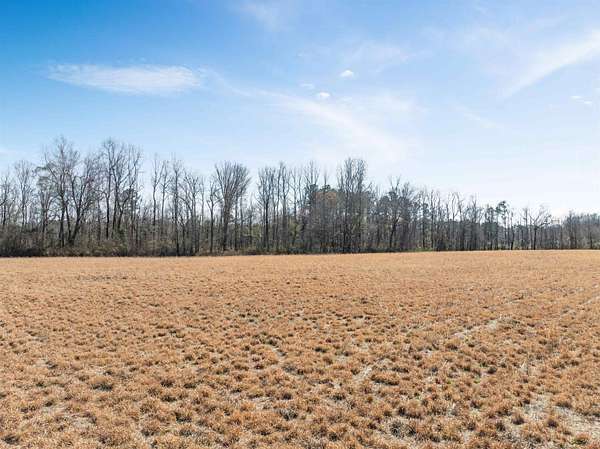 7.1 Acres of Land for Sale in Johnsonville, South Carolina