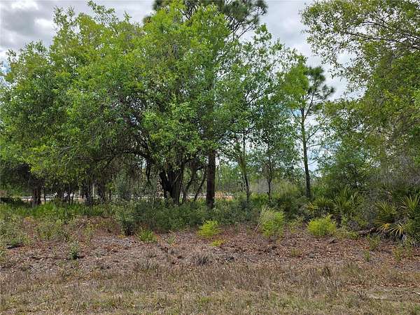 0.23 Acres of Residential Land for Sale in Punta Gorda, Florida