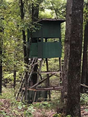 10 Acres of Recreational & Residential Land for Sale in Williford, Arkansas