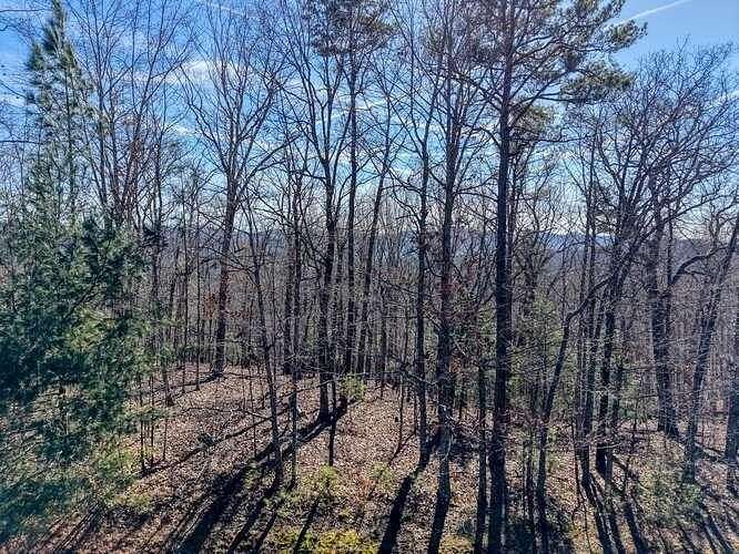 1.3 Acres of Residential Land for Sale in Blairsville, Georgia