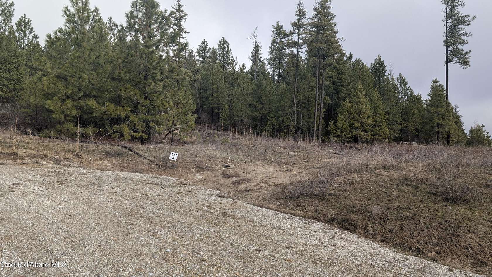 10.6 Acres of Land for Sale in Athol, Idaho