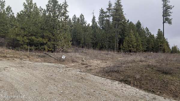 10.6 Acres of Land for Sale in Athol, Idaho