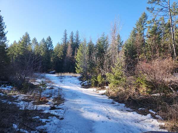 40 Acres of Recreational Land for Sale in Curlew, Washington