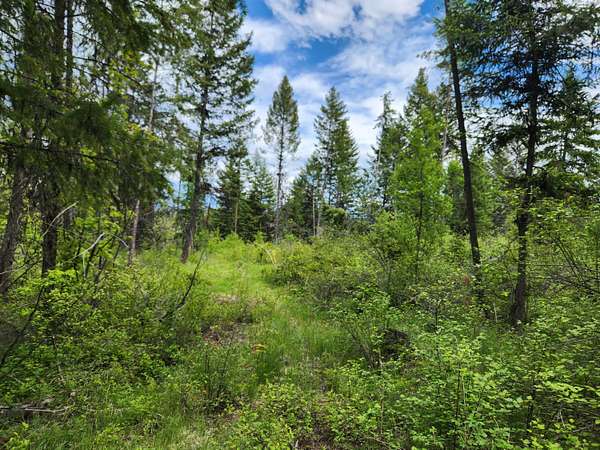 40 Acres of Recreational Land for Sale in Curlew, Washington