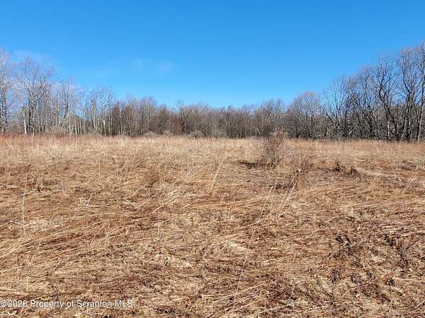 20 Acres of Recreational & Residential Land for Sale in New Milford, Pennsylvania