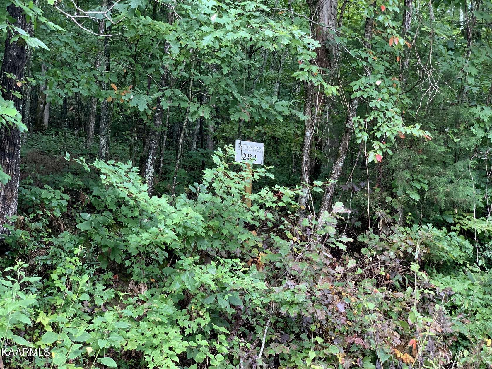 5.32 Acres of Residential Land for Sale in Loudon, Tennessee