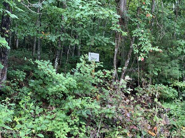 5.32 Acres of Residential Land for Sale in Loudon, Tennessee