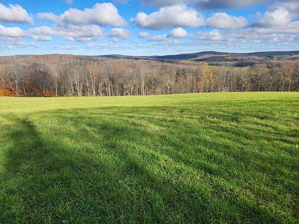 25 Acres of Land for Sale in Smyrna, New York