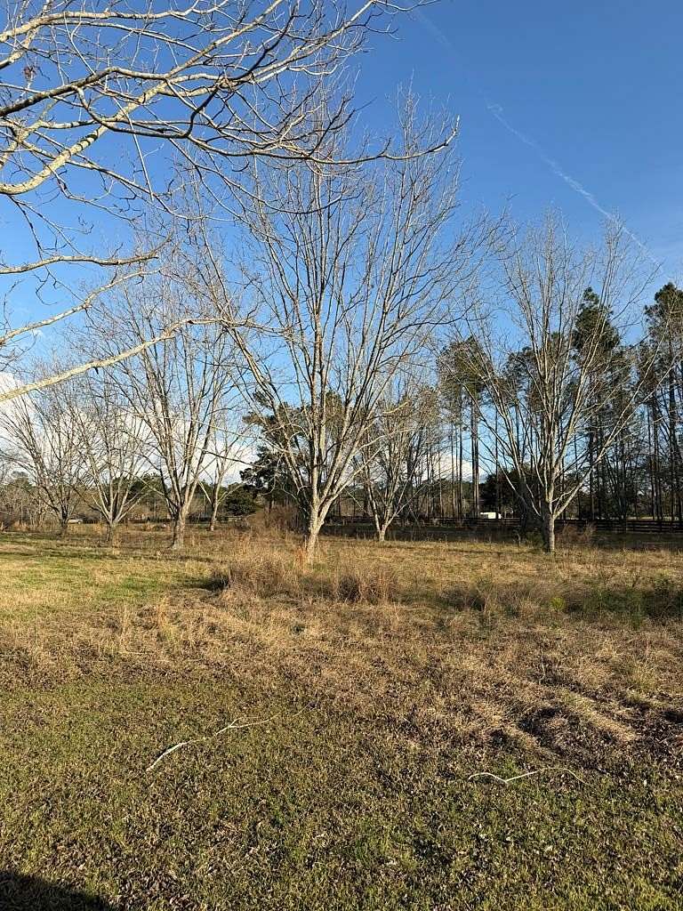 1.33 Acres of Residential Land for Sale in Nashville, Georgia