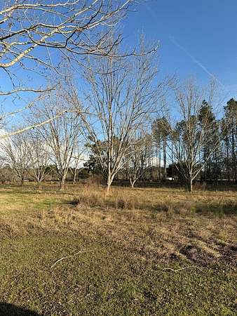 1.33 Acres of Residential Land for Sale in Nashville, Georgia