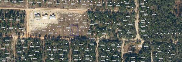 0.2 Acres of Residential Land for Sale in Hawthorne, Florida