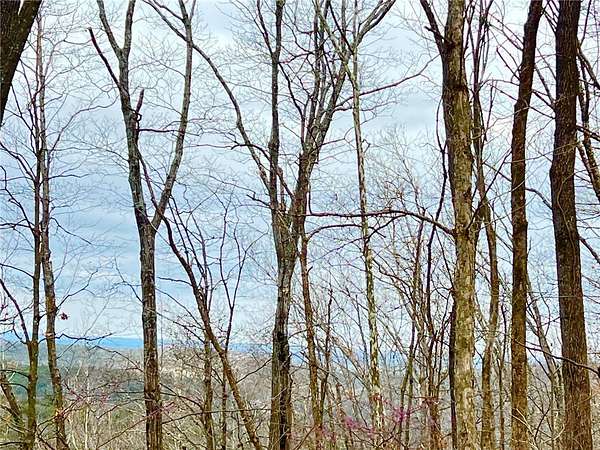 17.9 Acres of Land for Sale in Berryville, Arkansas