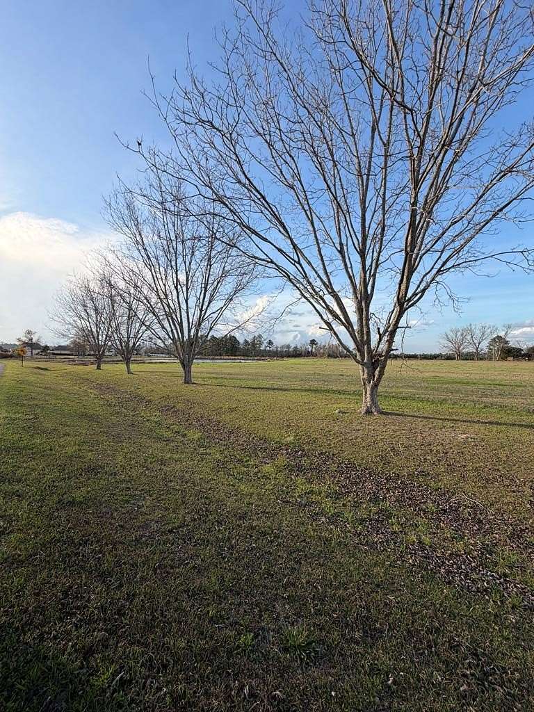 1.38 Acres of Residential Land for Sale in Nashville, Georgia