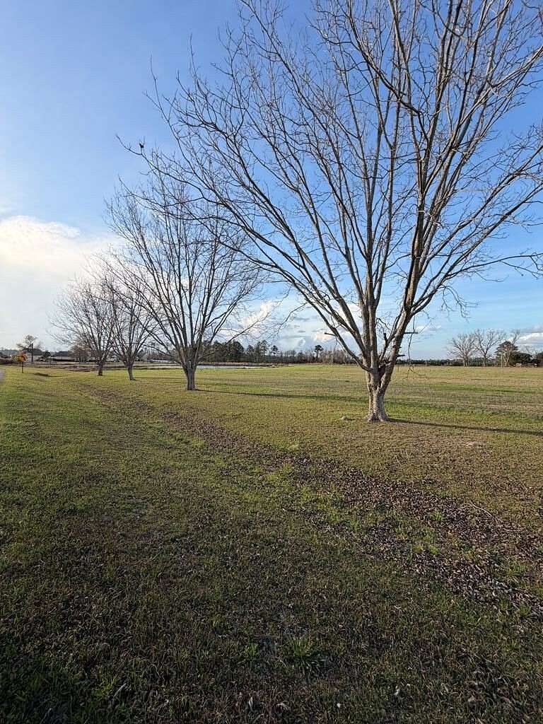 1.38 Acres of Residential Land for Sale in Nashville, Georgia